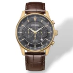Citizen Nam AN8193-02H - Ảnh 1