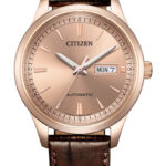 Citizen Nam NY4062-04X - Ảnh 1
