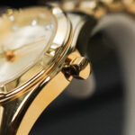Citizen Nữ EU6052-53P - Ảnh 9