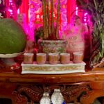 313ab5b3 Dee8 40b5 99c3 Ee39e1df0631 1713237886