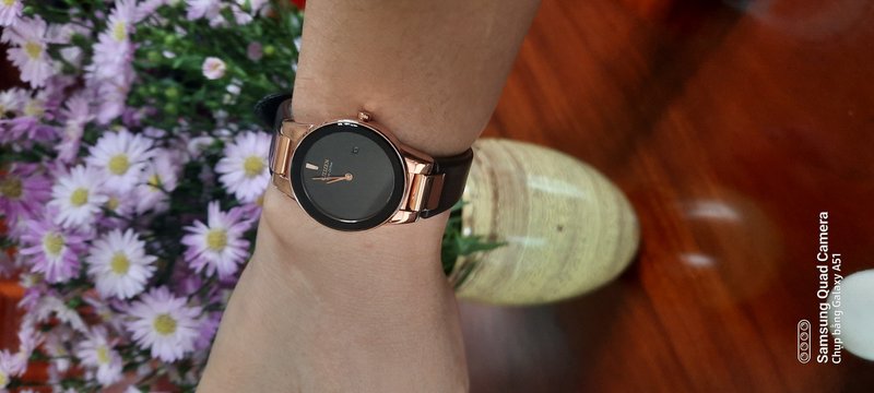 3a8eb83c 656f 4d74 B03f 8e452f9420f8 1713237894