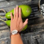 2d5a2c96 87d1 4b69 84a3 C8dfa2543e9d 1713252996