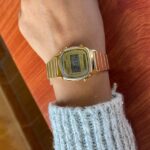 7306ee4d 2644 43d2 B4f2 A9b7567f55a6 1713253029