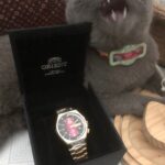 7e9e4c20 Ff03 433b 880e 421038171771 1713254063