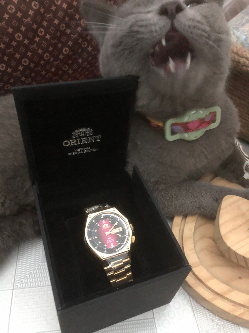 7e9e4c20 Ff03 433b 880e 421038171771 1713254063